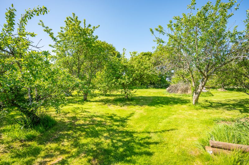 Grounds- click for photo gallery